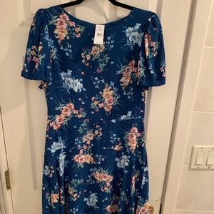 Brand new with tags Ann Taylor Loft dress